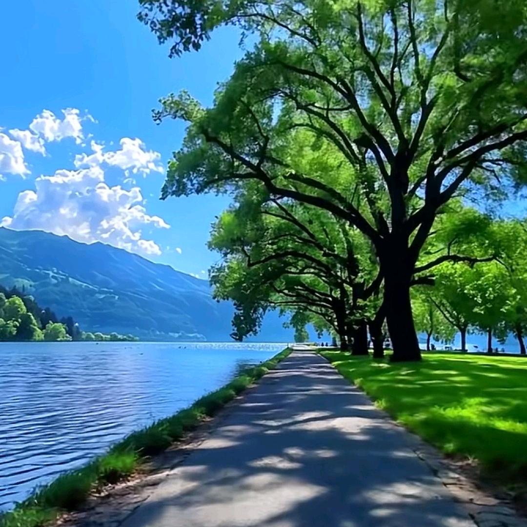 论道智慧@勤仁商贸