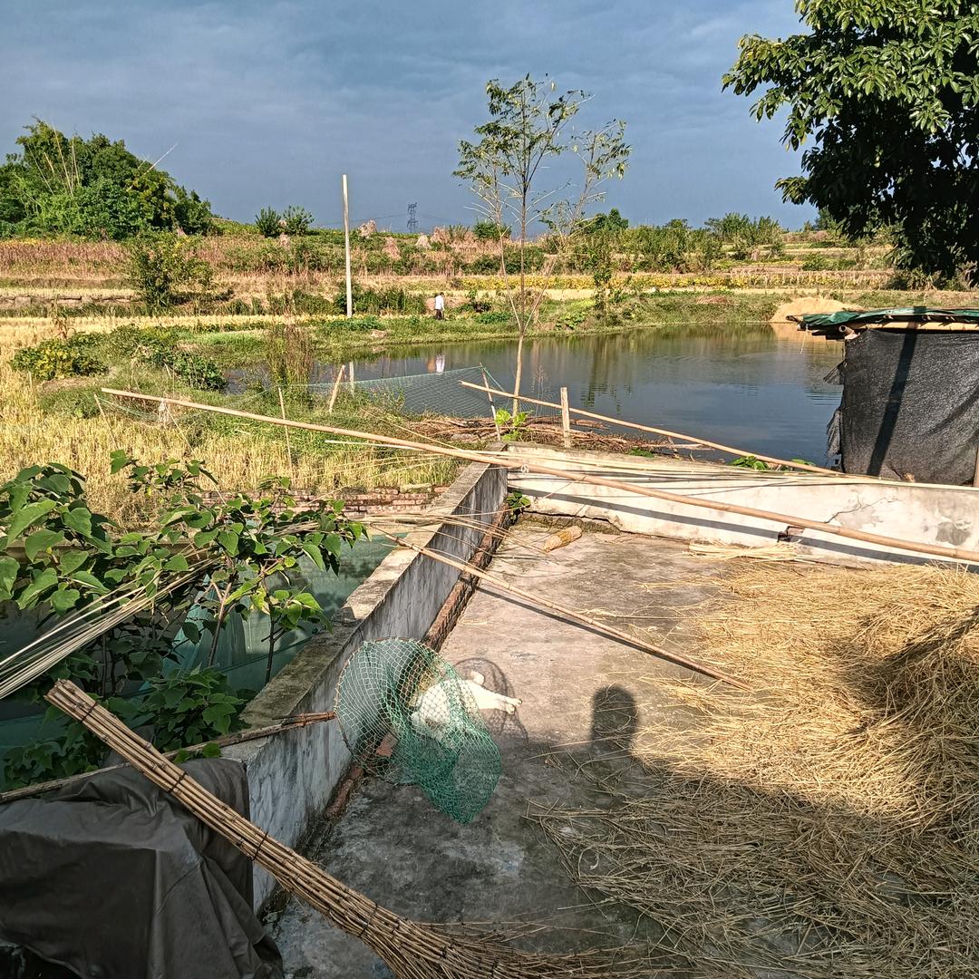 你是什么人扥个什么老公相处村要得农