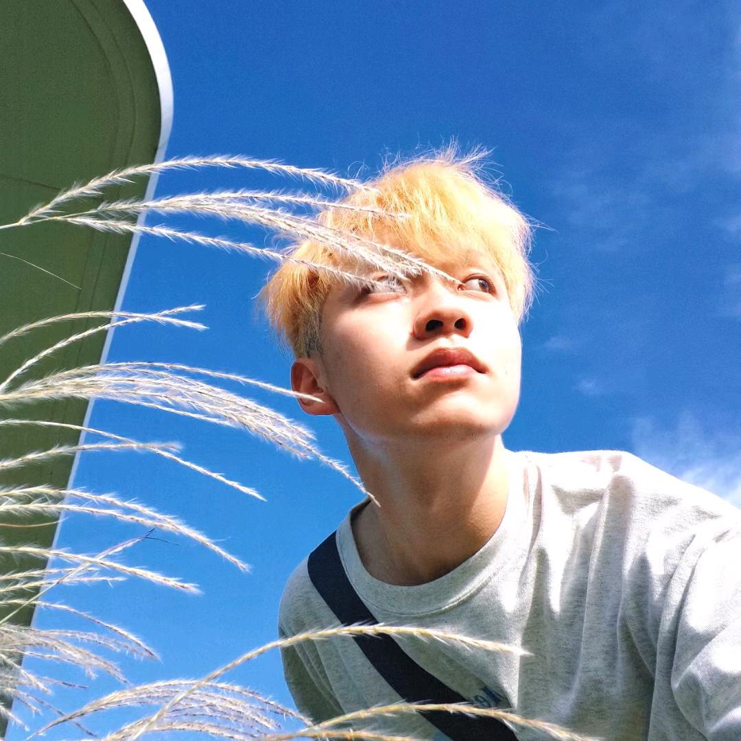 草皮头头（目标800粉）