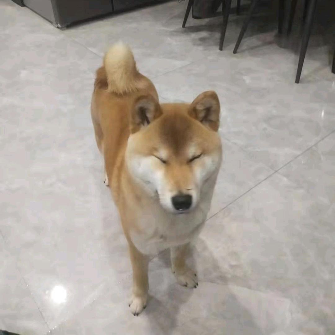 喜形于色.