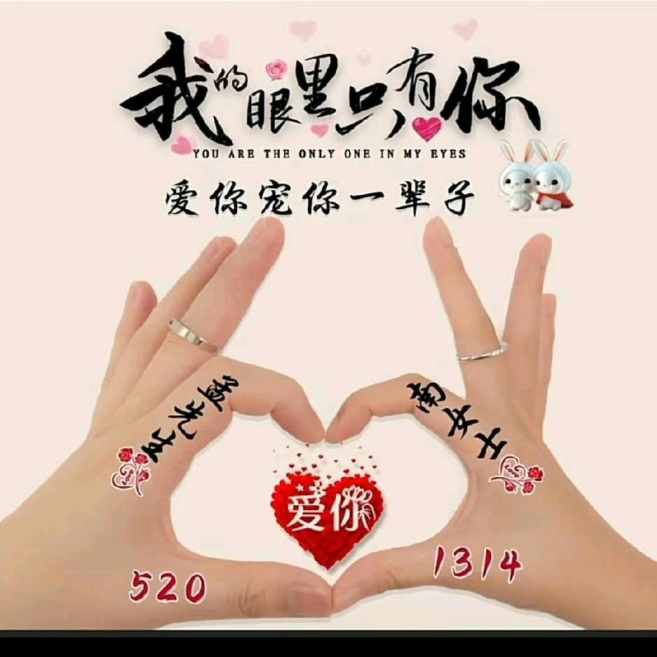 🌙可爱小濑虫🌙