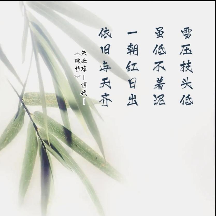 一号树yihaoshu(大连长兴岛店)官