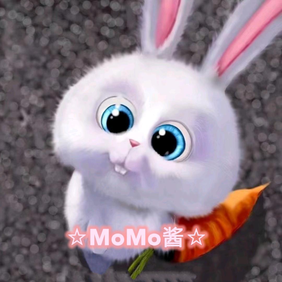 MOMO酱☆