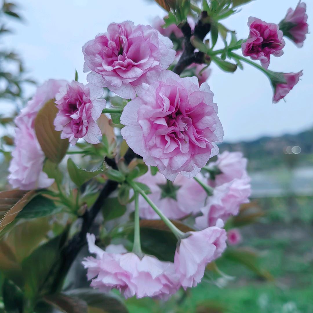 ༻風ཨོཾ生ཨོཾ氺ༀ起༺