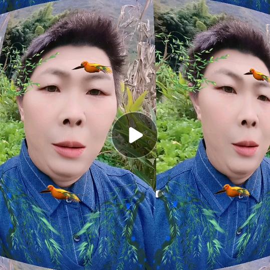 幸福快乐☞