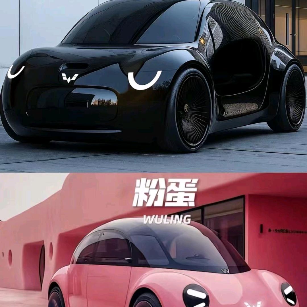 ⭐⭐⭐⭐⭐