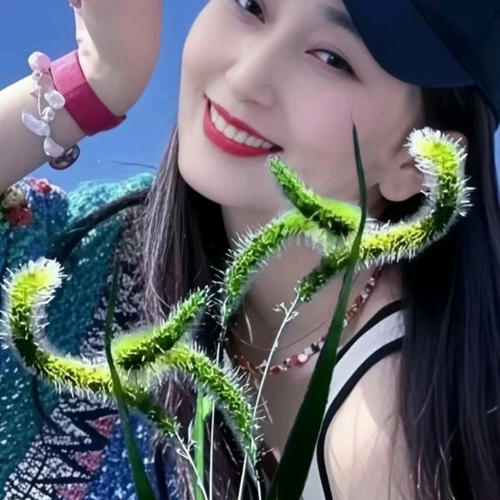 每天都开开心心