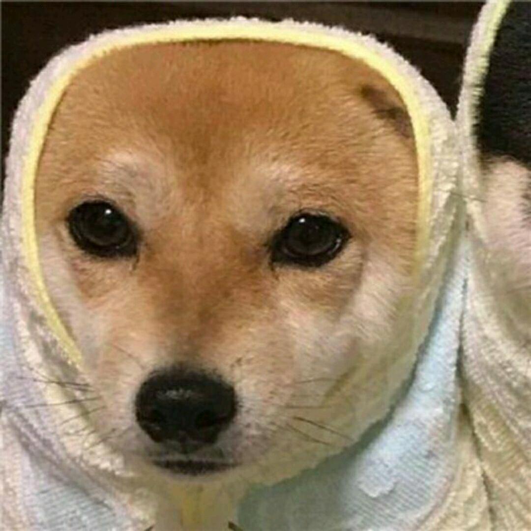 稳稳子