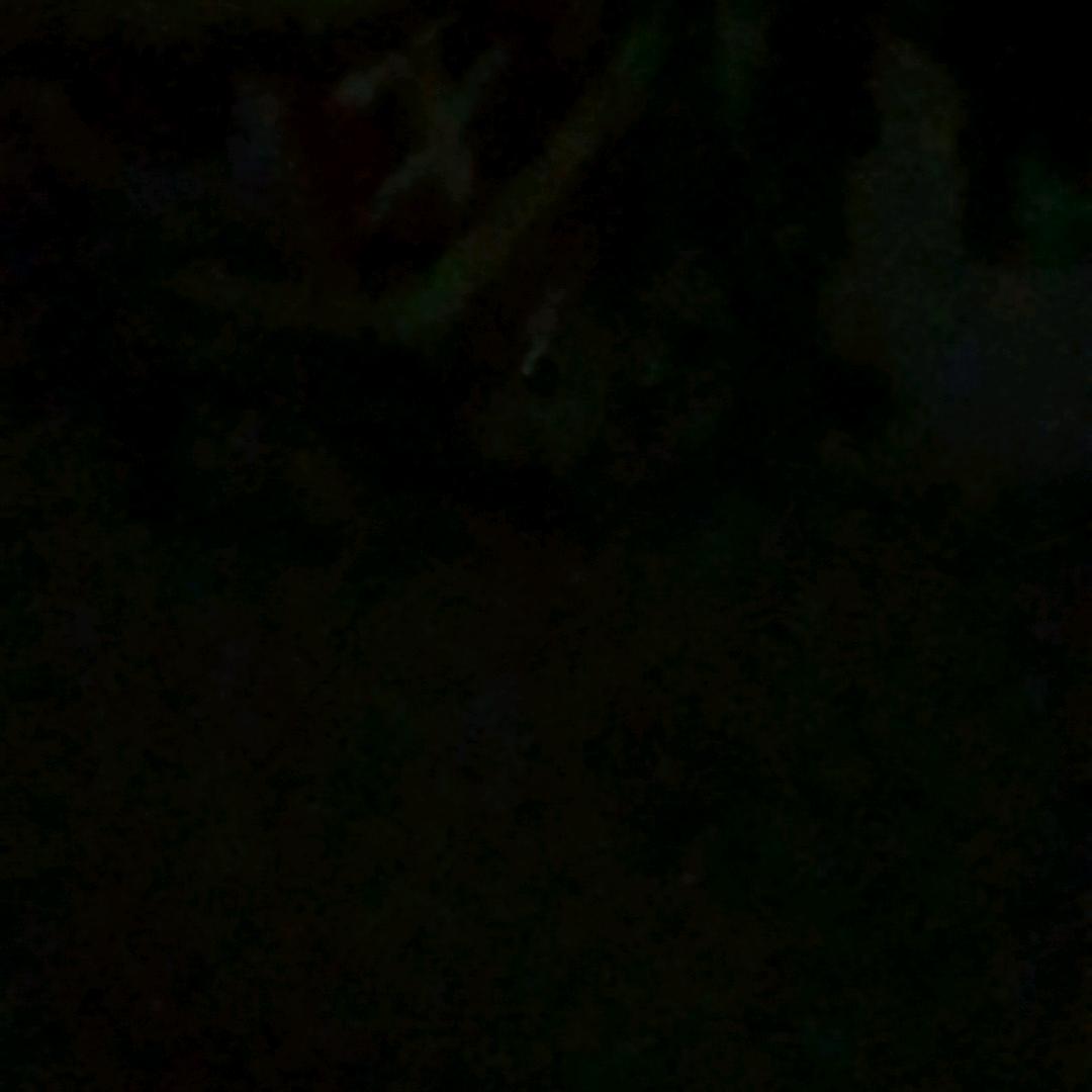 嘿