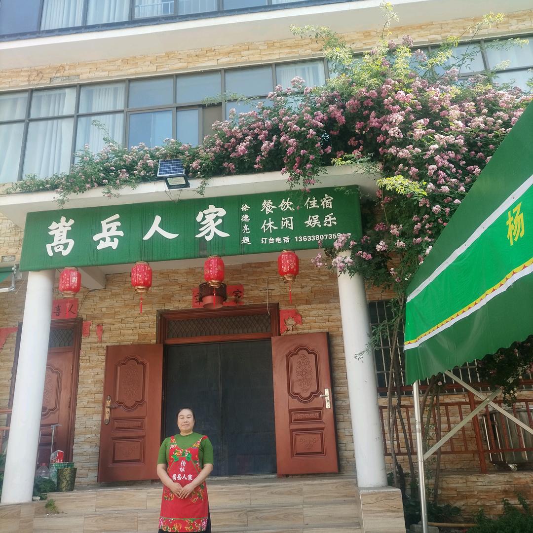 韵沟杨妞（海燕之声）