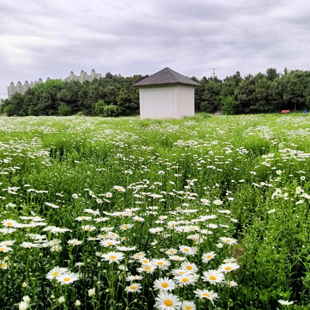 藏在云里的喜欢