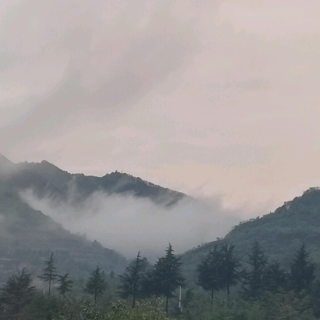 敏傑
