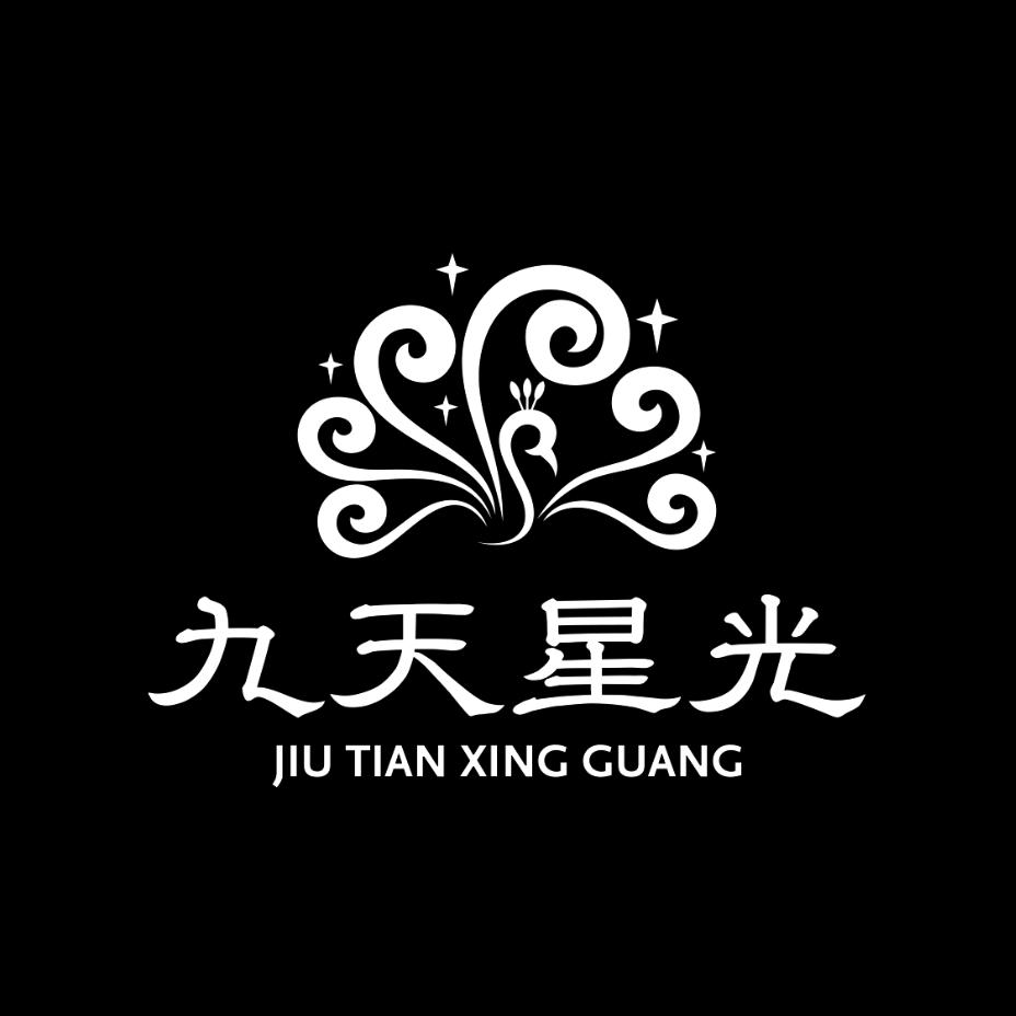 九天星光