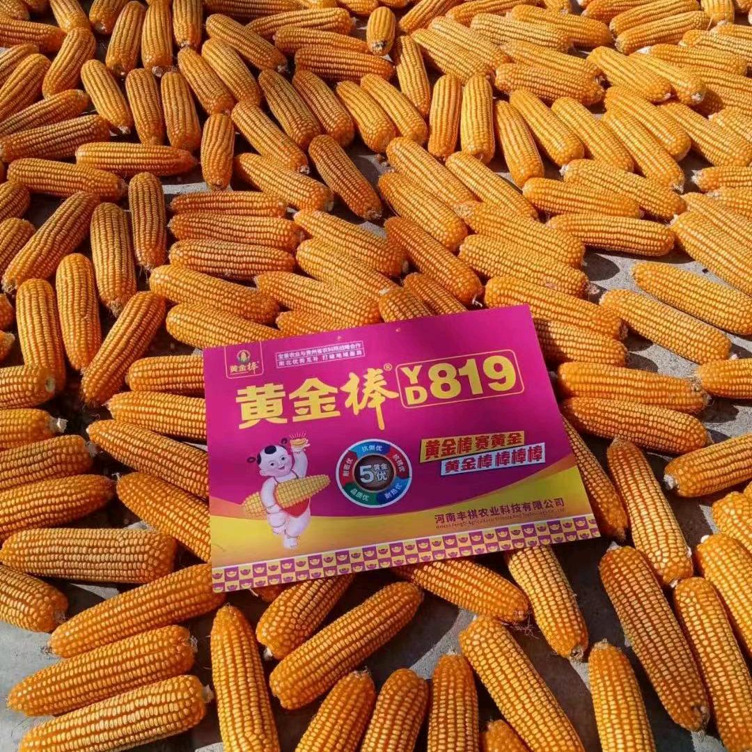 河南丰祺农业科技有限公司
