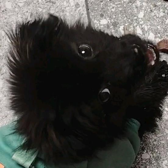 囔囔囔囔囔囔囔