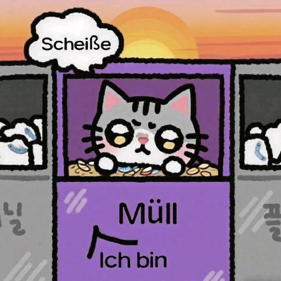 偷腥的猫