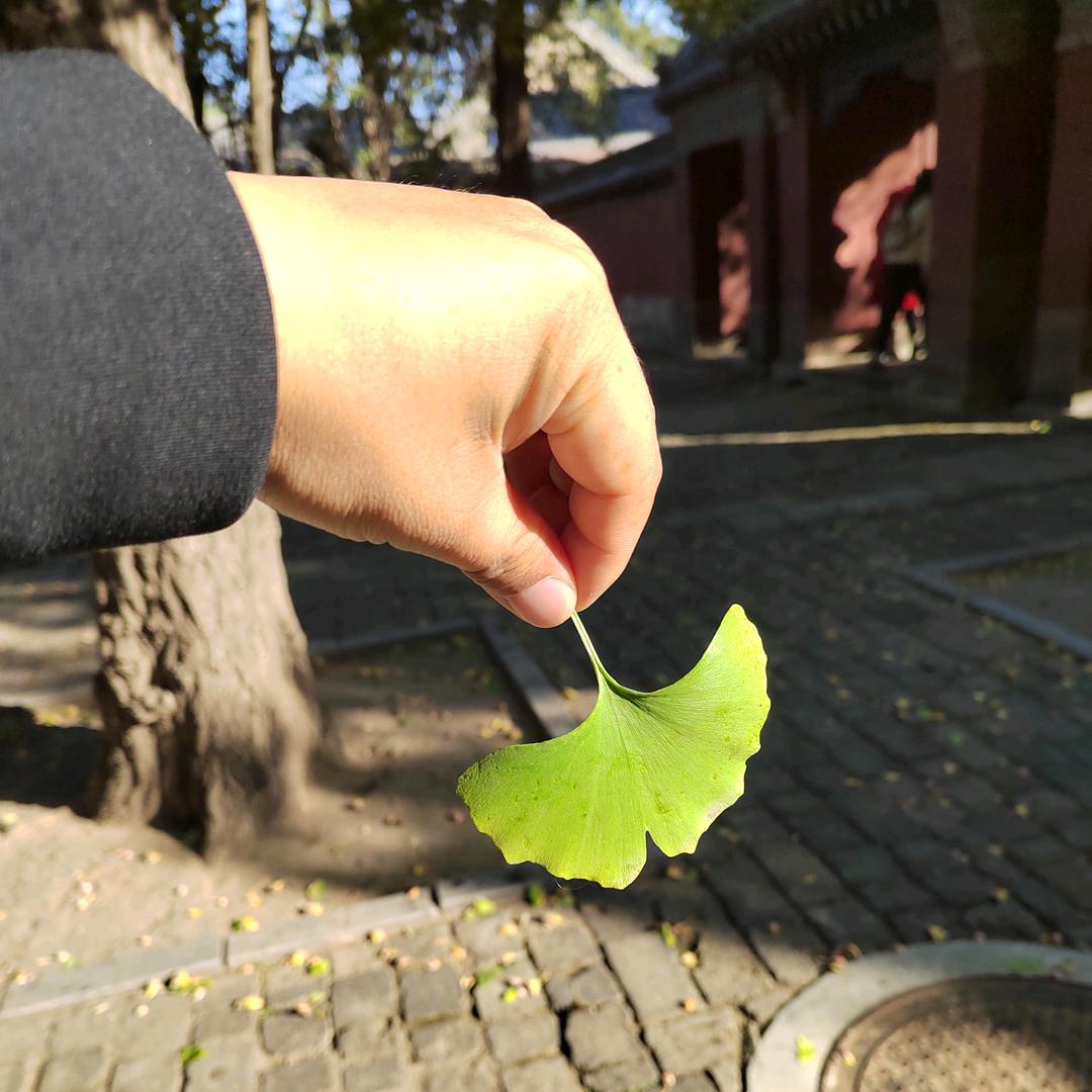 か潇洒释怀*^O^*