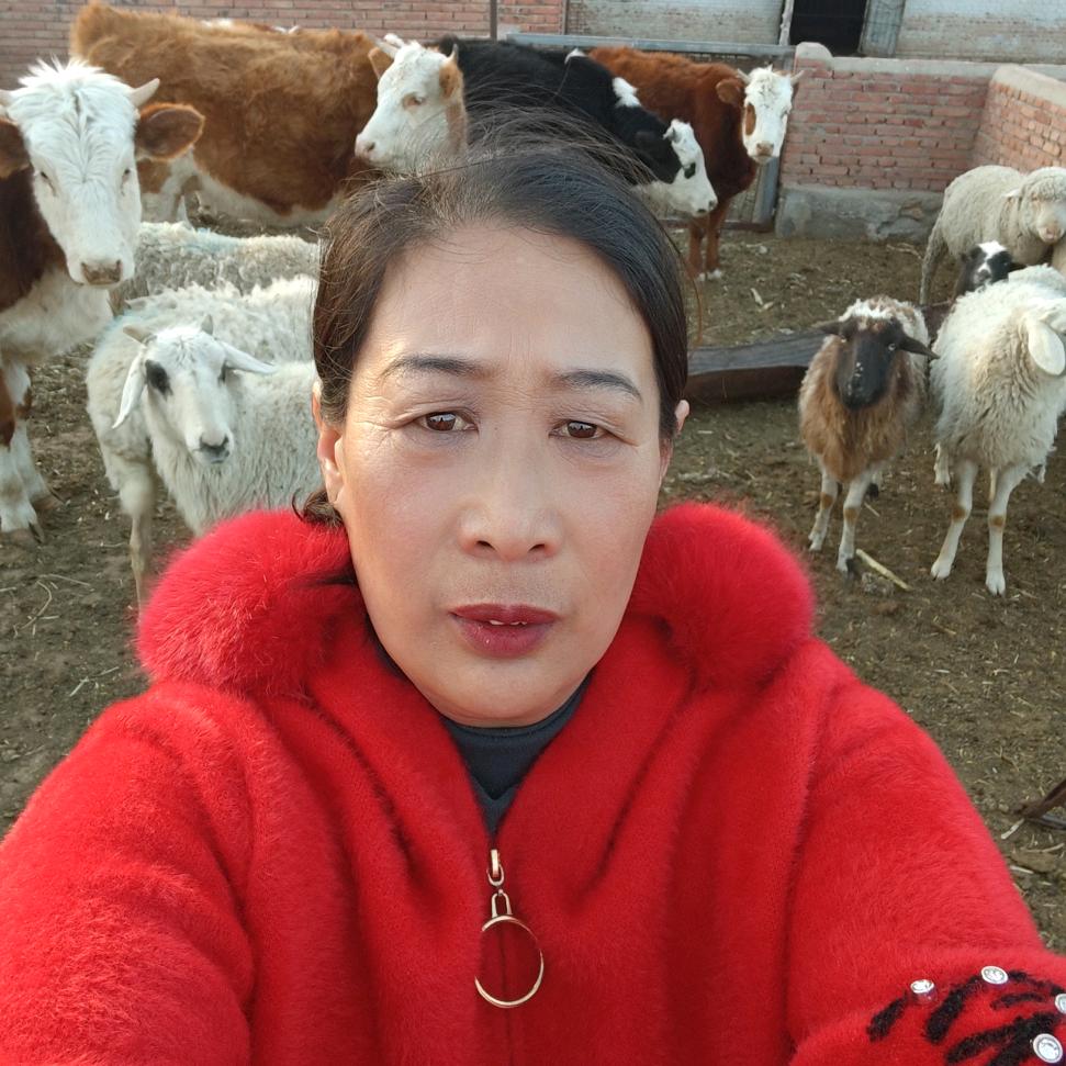 草原牧人