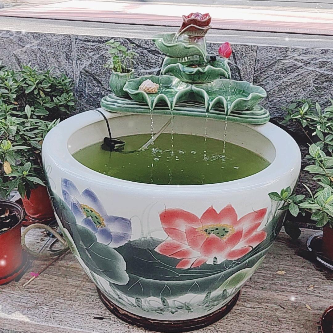 民宿杨姐