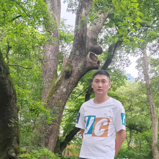张子豪