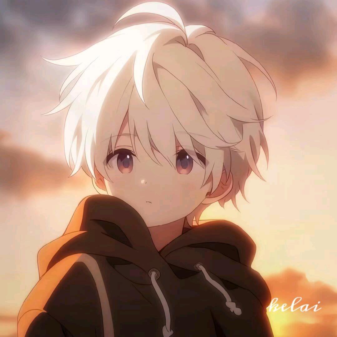 七哥