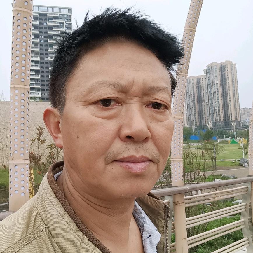 杜邦杰63的兔
