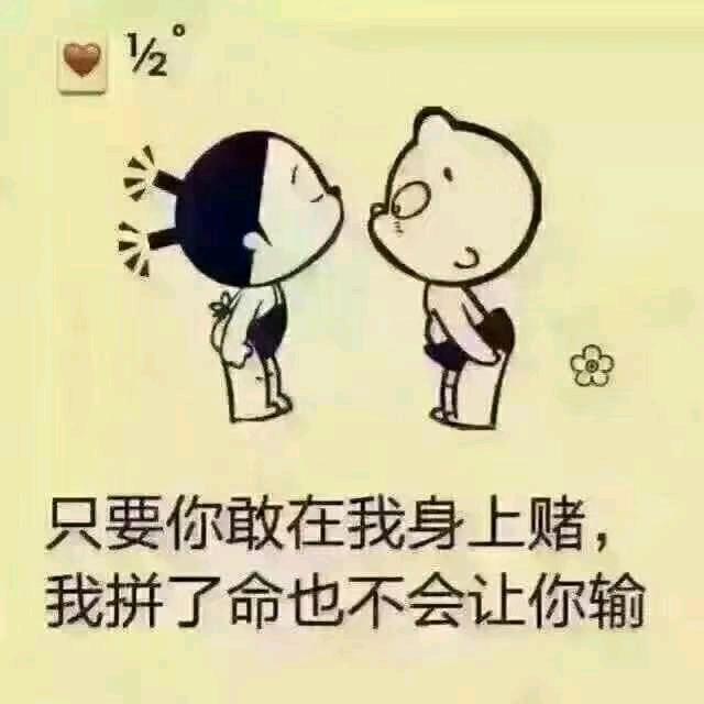 彩云伴海鸥
