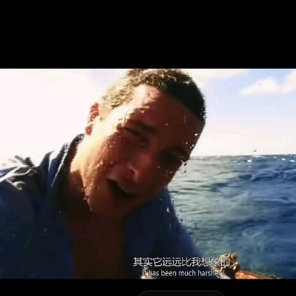 已老实-