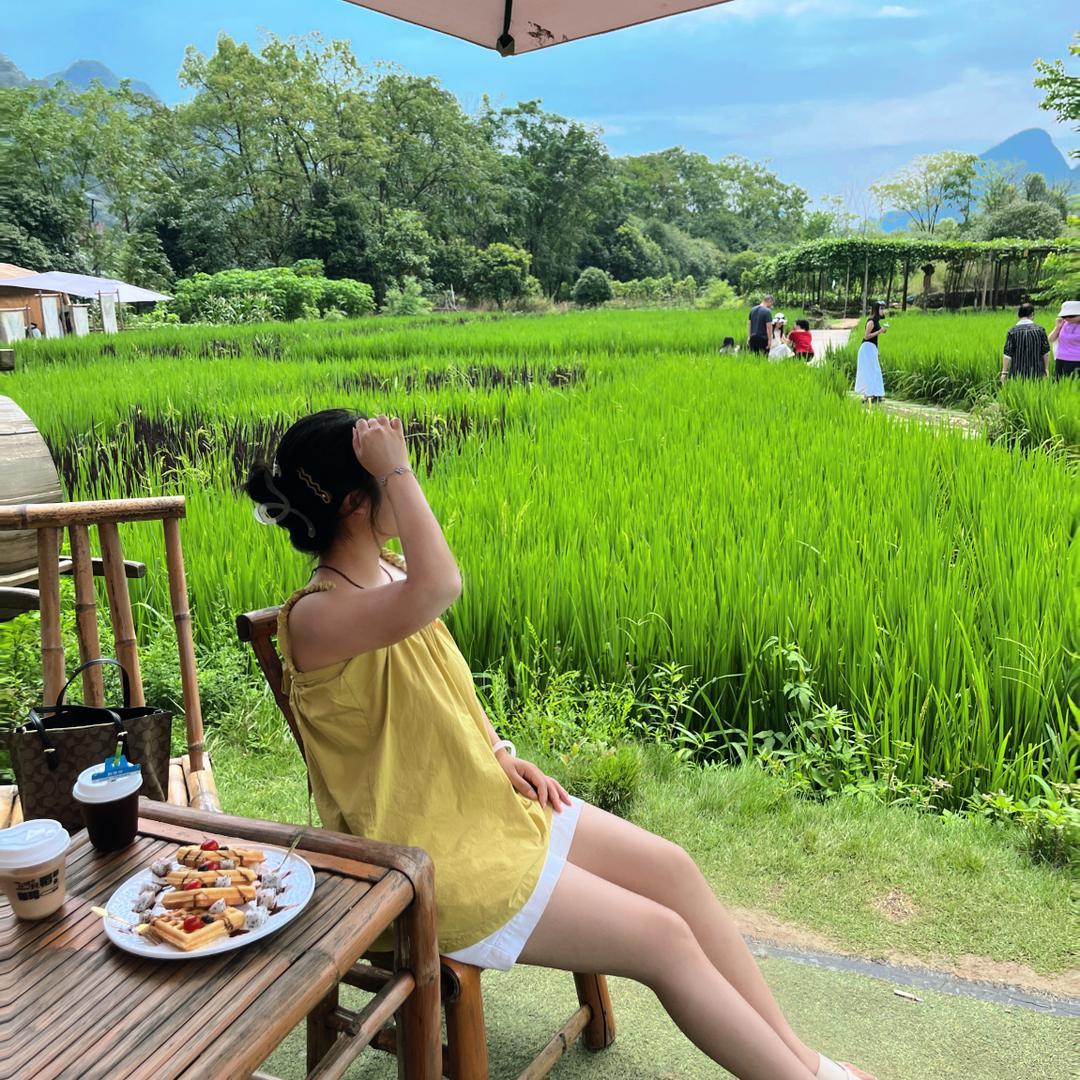 青衫不改旧人还。