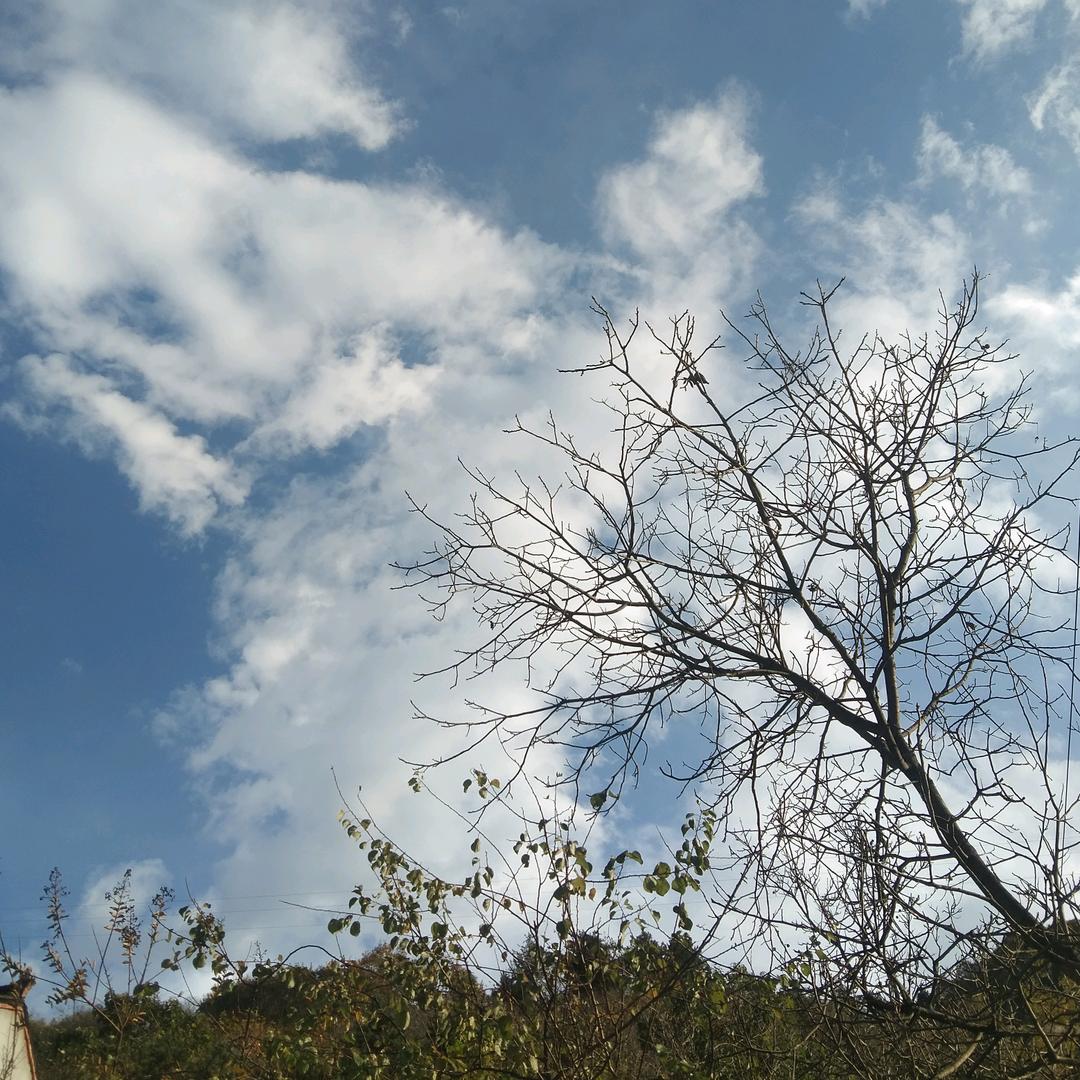 吻雨