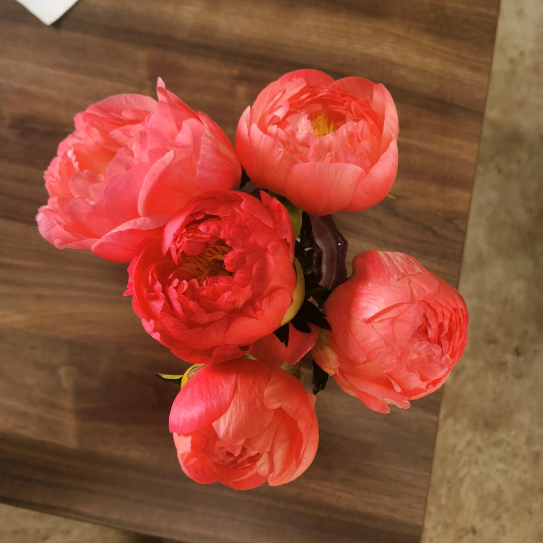 盛煌花卉