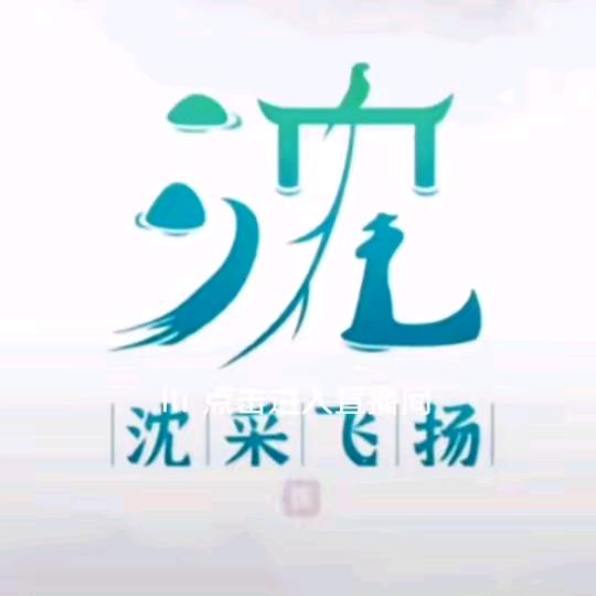 🇨🇳沈彩飞扬