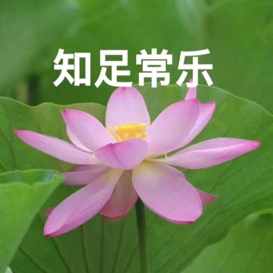 知足常乐（口腔备考疯狂版）