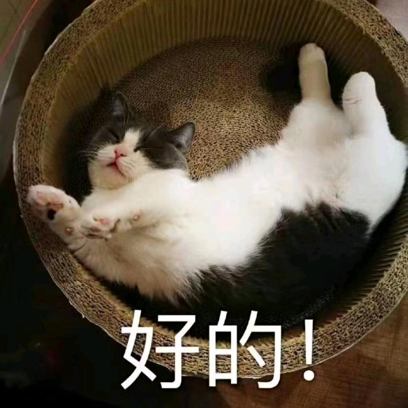 树洞音乐馆