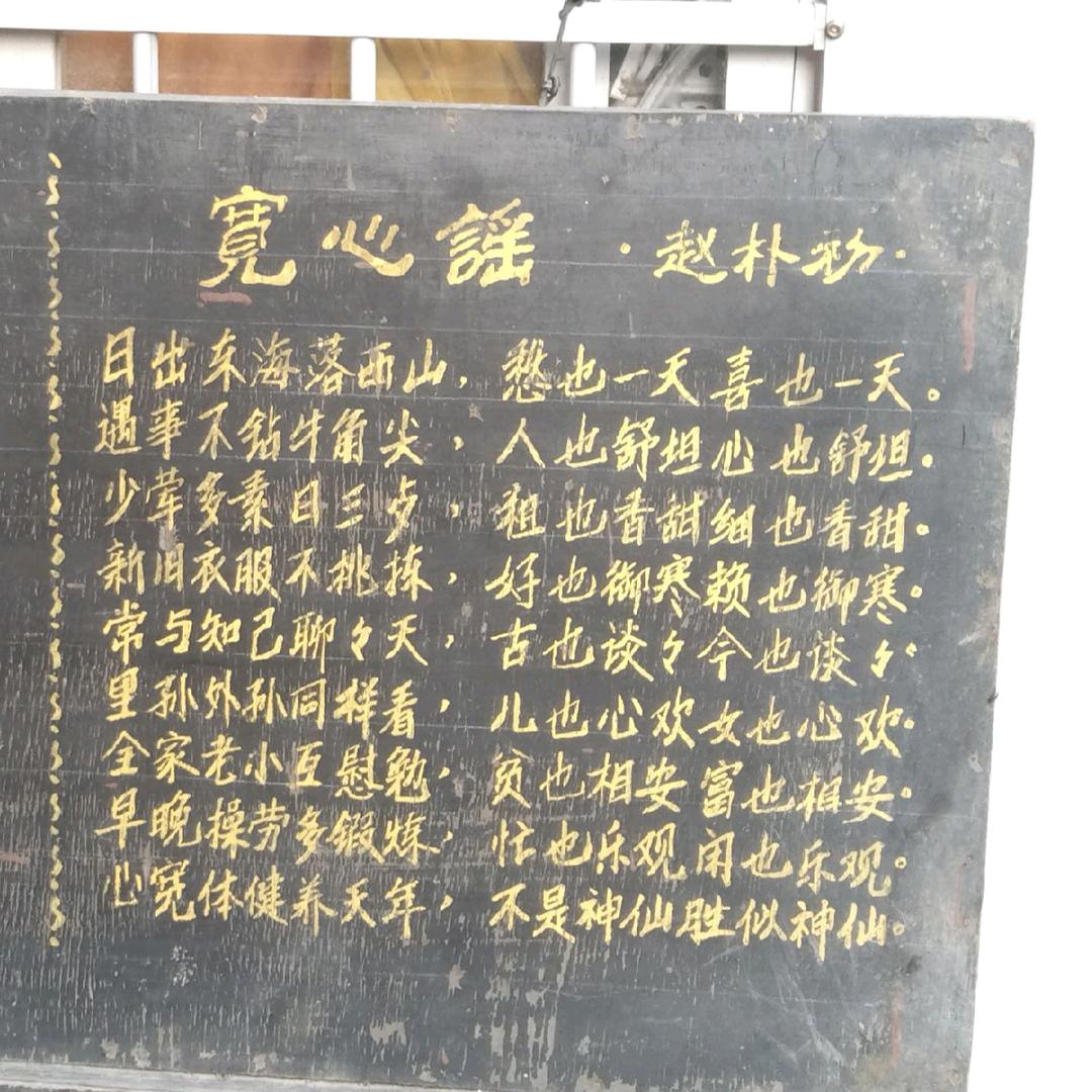 专业收废品