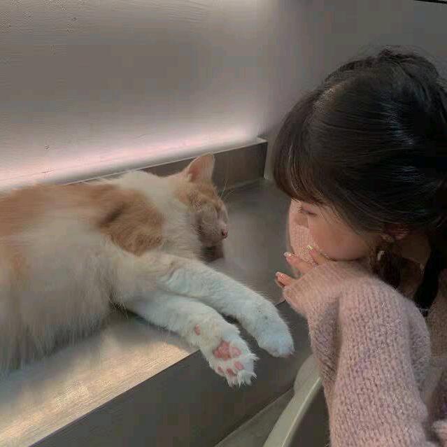 猫大玉