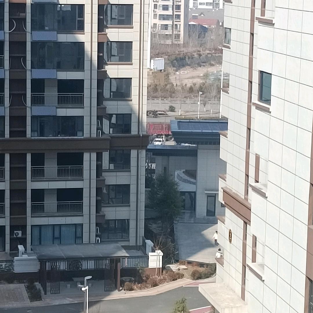 蜉蝣撼大树