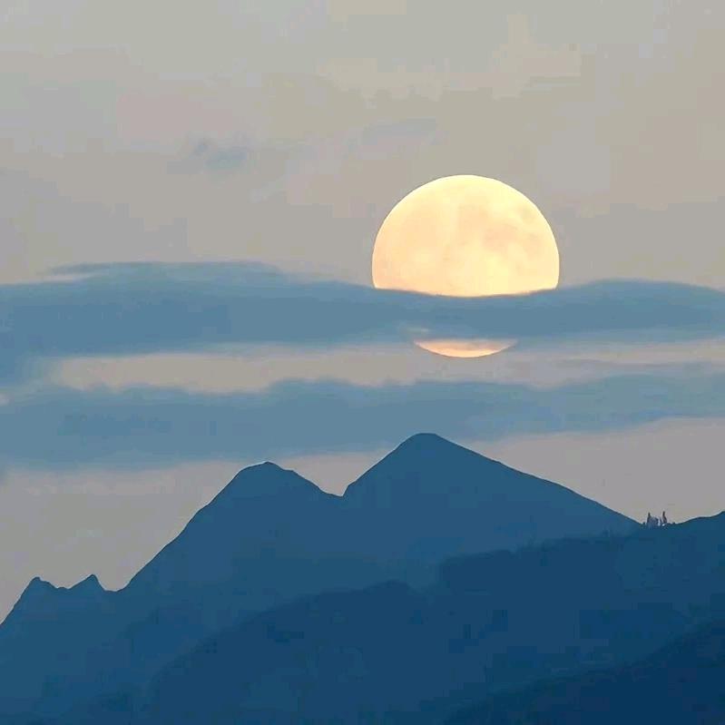 竹海柔