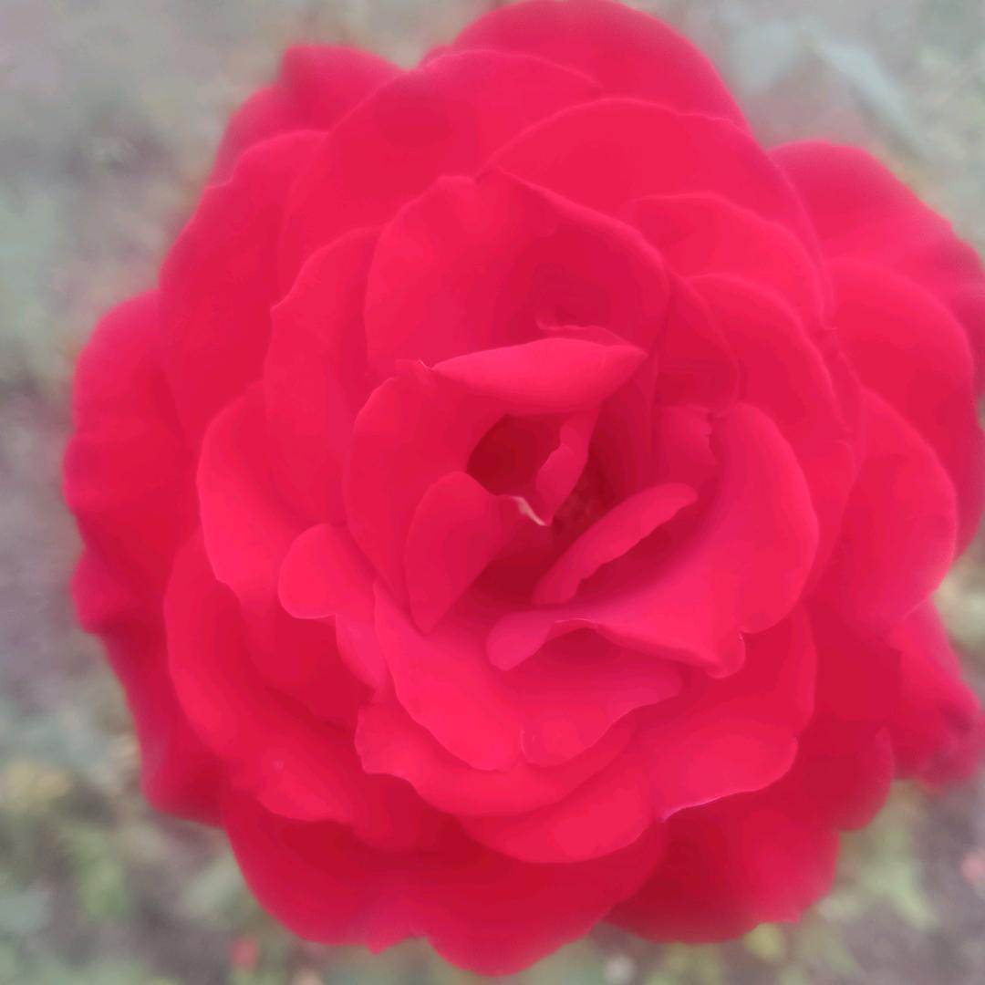 开心每一天🚜🚜