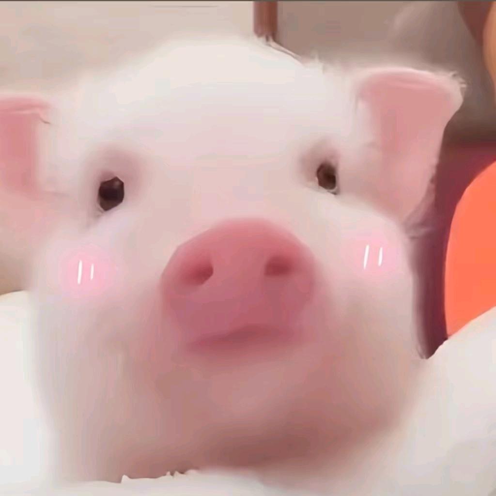 ᵖᵖᵖᵖᵖᵖⁱⁱⁱⁱⁱⁱⁱⁱᵍᵍᵍᵍᵍᵍ