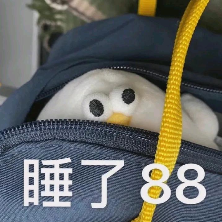 小周来噜
