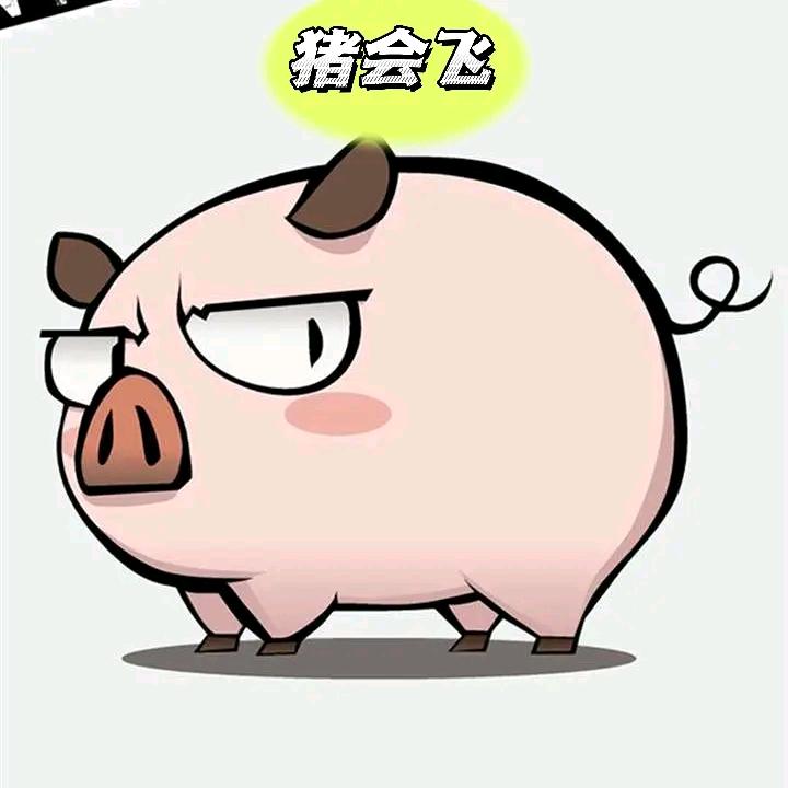 五个月