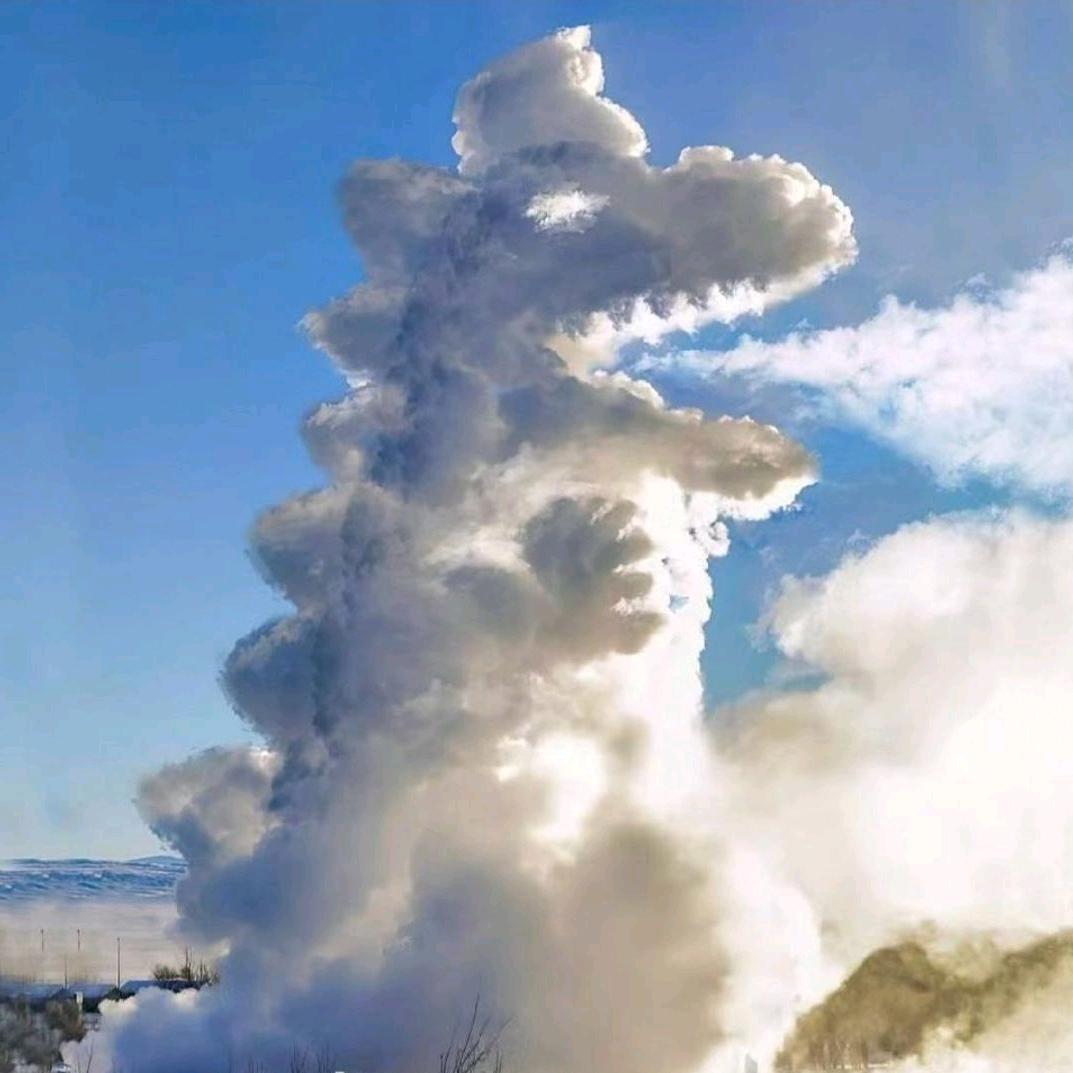 AA 家天下（房东直租）