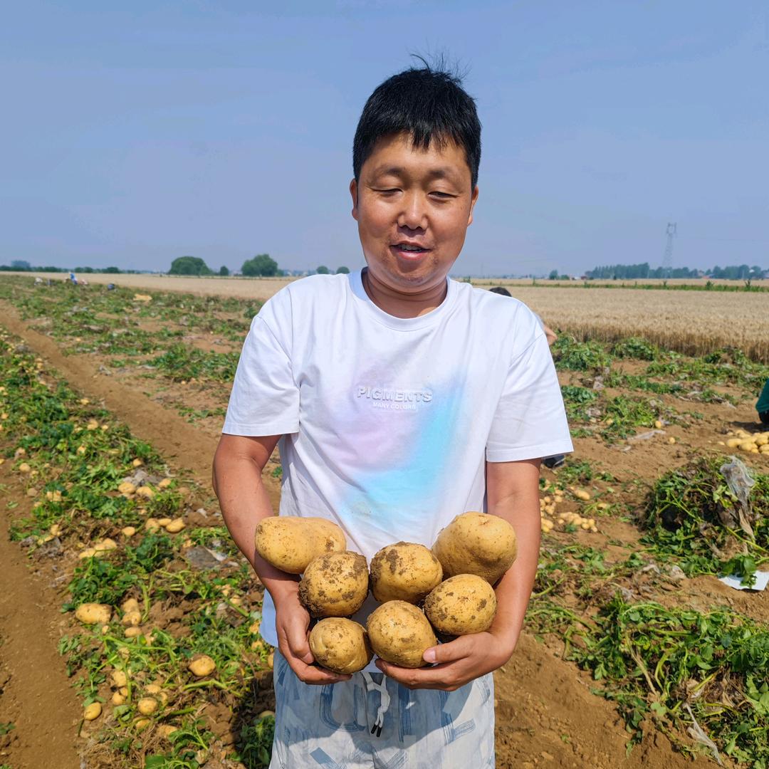 大宝果蔬