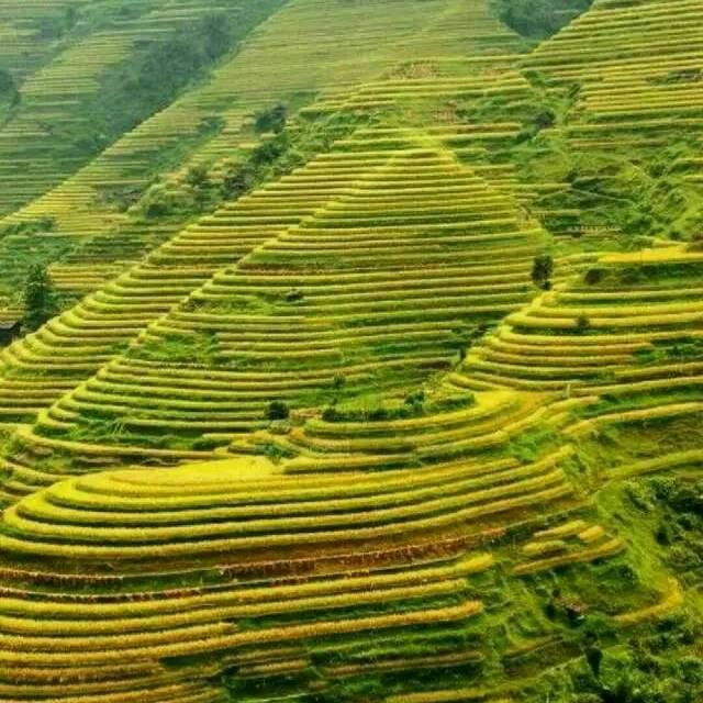 心静自然凉。