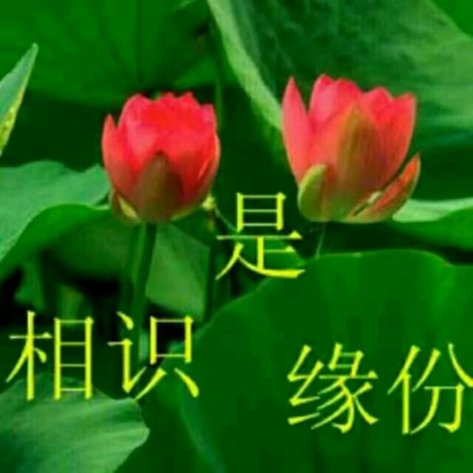 一切随缘