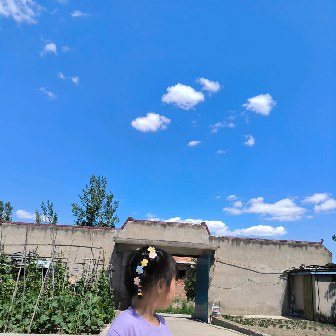 王姑娘