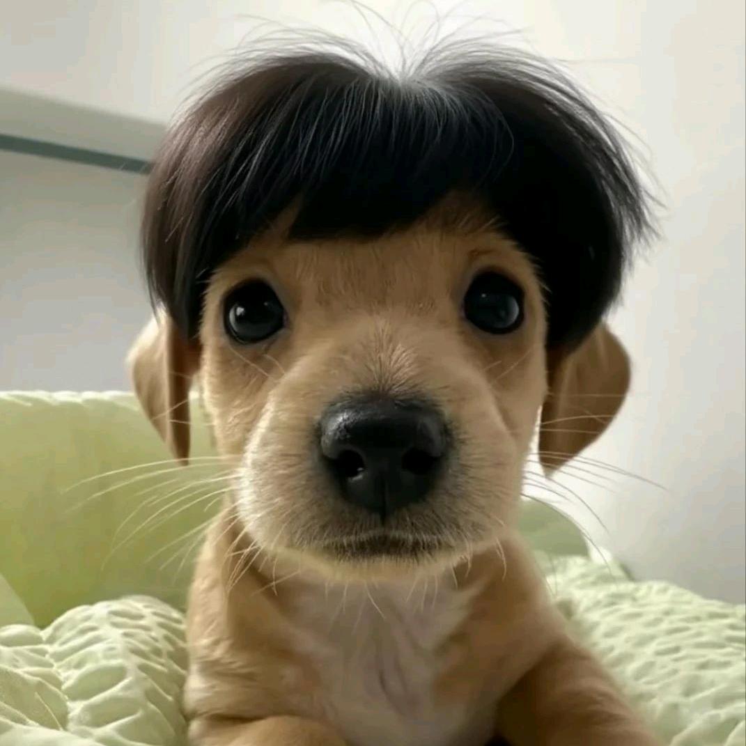 阿战不会游