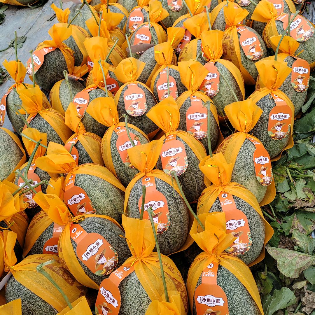 🥀🐇往ꦿ事🐇归࿐ᩚ零🐇