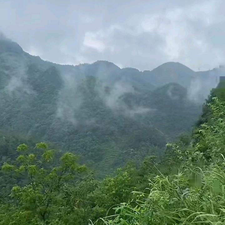 64权哥